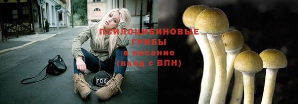 прущая мука Магас