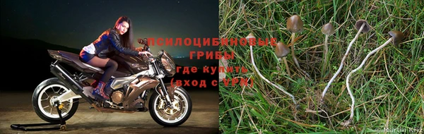 прущая мука Магас