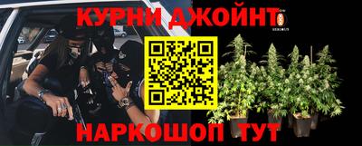 гидропоника Жуковский