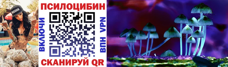 Галлюциногенные грибы Psilocybine cubensis  магазин продажи   Красный Сулин 