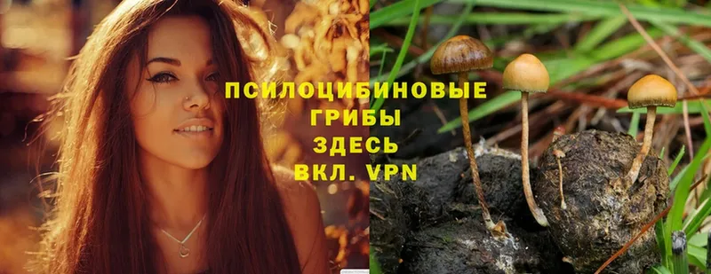 Галлюциногенные грибы Magic Shrooms  Красный Сулин 