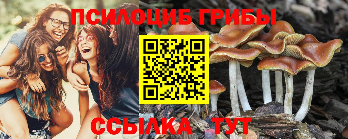 Красный Сулин  Галлюциногенные грибы MAGIC MUSHROOMS  Вход с VPN 